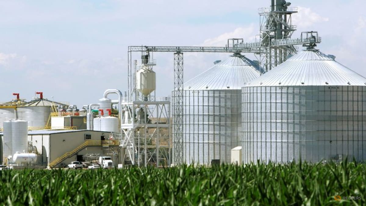 Kenaikan Harga Minyak Dorong Permintaan Biofuel di Asia